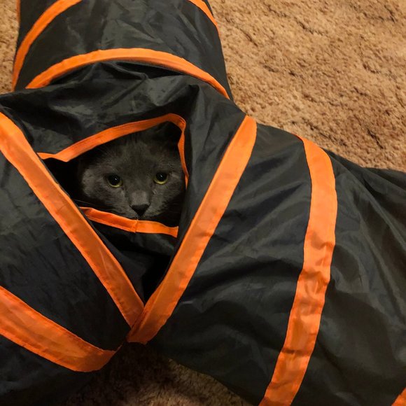 Welcome to my Large eclectic closet - Picture 7 of 10